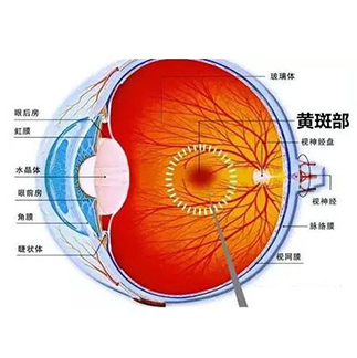 眼底病科